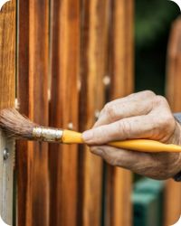 Door Painting and Staining Services