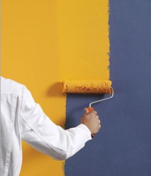 Exterior home Paint