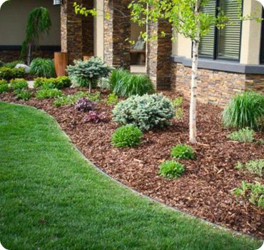 Garden Maintenance Service In Dubai