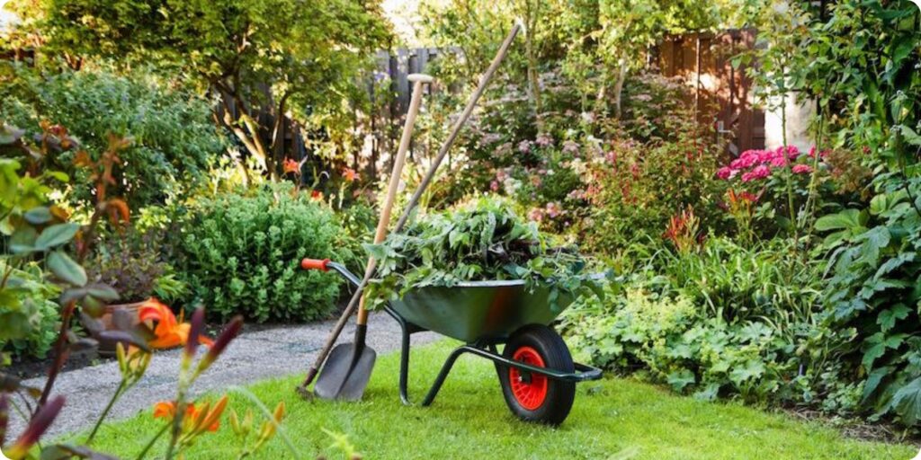 Garden Maintenance Service In Dubai