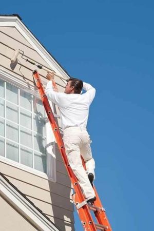 Villa Painting Services